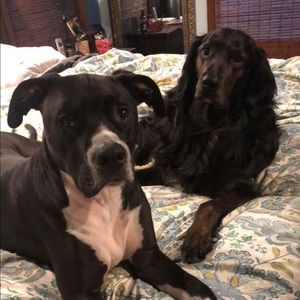 Meet your Posher, Dee